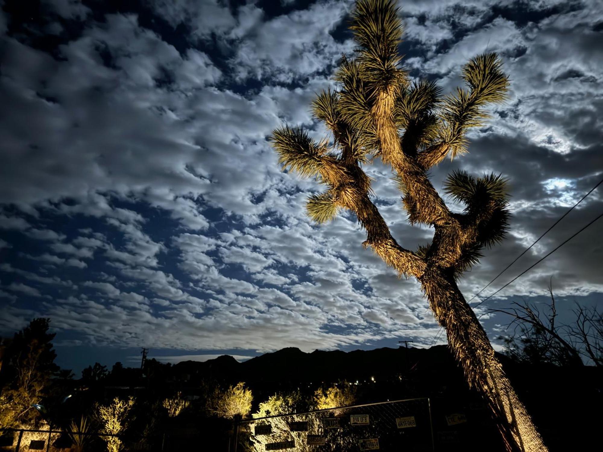 Float Pool, Hot Tub, Sauna, Views, Telescope-Skywatchers Haven Joshua Tree Exteriér fotografie