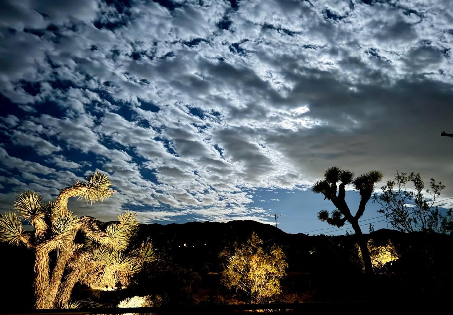 Float Pool, Hot Tub, Sauna, Views, Telescope-Skywatchers Haven Joshua Tree Exteriér fotografie