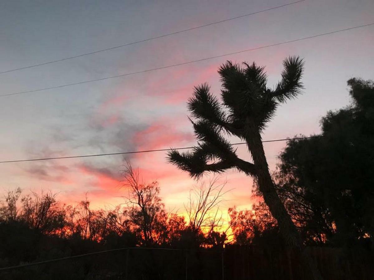 Float Pool, Hot Tub, Sauna, Views, Telescope-Skywatchers Haven Joshua Tree Exteriér fotografie